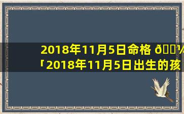 2018年11月5日命格 🐼 「2018年11月5日出生的孩子是什么 🌴 命」